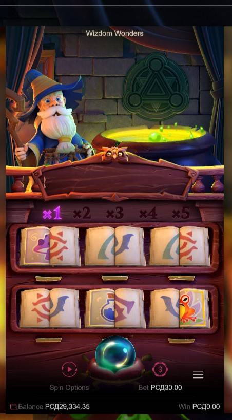 Wizdom Wonders
