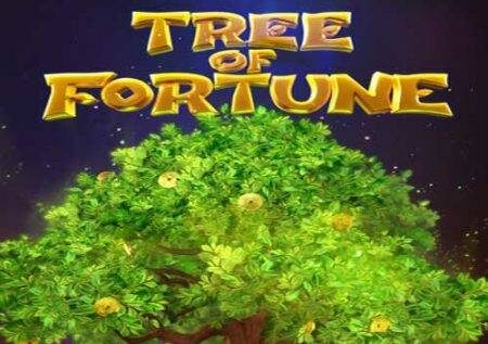 Tree of Fortune – chagua sehemu yako ya dhahabu!