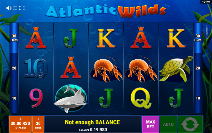 Atlantic Wilds - ogelea kwenye dunia ya maajabu ya Atlantic!