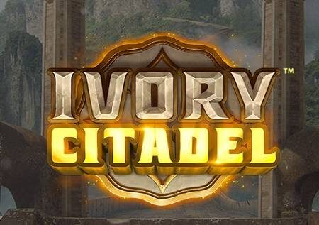 Ivory Citadel – safiri kwenda India na utengeneze pesa kubwa!