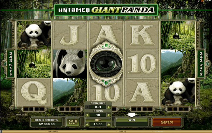 Untamed Giant Panda, kamari, bonasi ya kasino mtandaoni, mizunguko ya bure mtandaoni