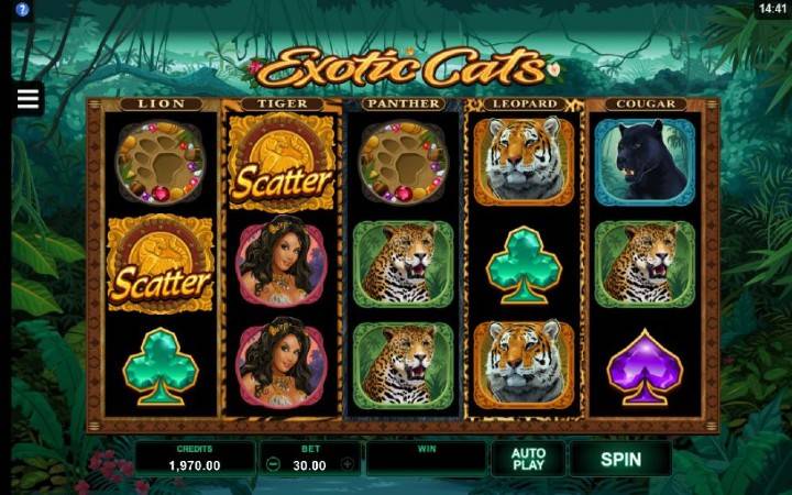 https://meridianbet.co.tz/en/online-casino/game/micro-gaming/exoticCatsDesktop