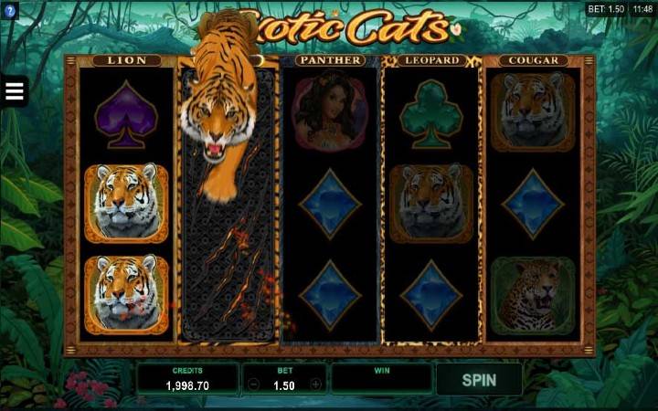 https://meridianbet.co.tz/en/online-casino/game/micro-gaming/exoticCatsDesktop