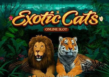 Exotic Cats – paka pori na msitu vitakuburudisha!