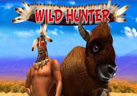 Wild Hunter – kamata utajiri kwenye anga!