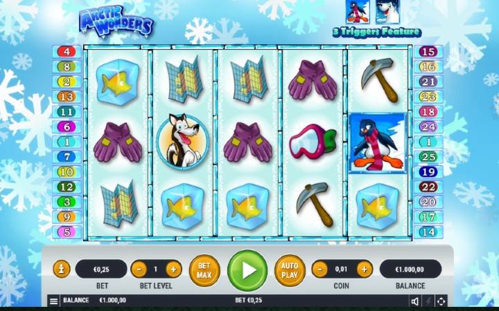 Arctic Wonders