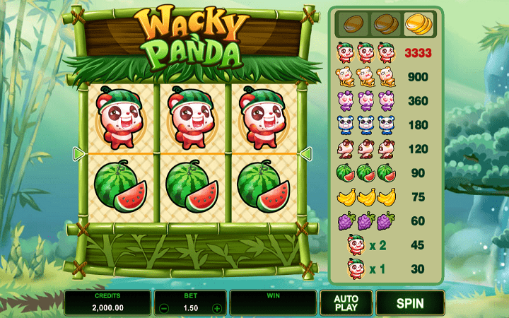 Wacky Panda