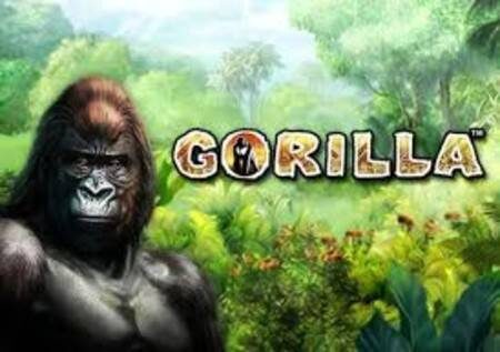 Gorilla – tazama msitu na ushinde bonasi kibao!