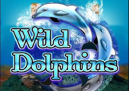 Wild Dolphins – kina cha bahari kinaficha hazina kubwa!