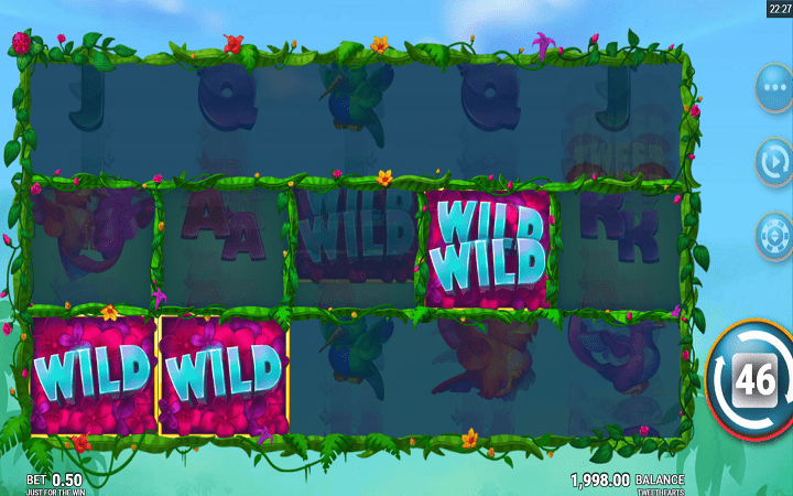 Mbwa mwitu kutokea bila ya mpangilio