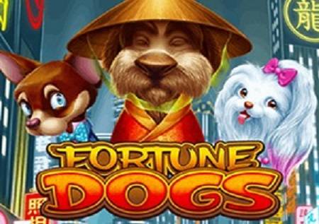 Je, imewahi kutokea kwako kwamba mnyama wako kipenzi anaweza kuwa anaongoza kuwa na maisha maradufu? Siyo wazo geni, wakati unafikiria, ama sivyo? Hasa wakati tunazingatia kwamba mashujaa wetu wazuri walipata nafasi kwenye skrini ya sinema! Haiwezekani kwamba haijawahi kutokea kwako ambapo mbwa wako amejificha wakati unamuita kwa bidii arudi nyumbani! Mtoaji wa gemu, Habanero anaonekana alifanya utafiti ambao zaidi ya nusu ya watu walisema wanaamini nadharia hii, na kuipata mahali chini ya anga ya kasino ya mtandaoni. Jitayarishe, Fortune Dogs wanakuja! Alama za Fortune Dogs Sehemu hii ya video ya kushangaza na kazi nyingi hutujia kutoka kwenye milolongo mitano ya kawaida katika safu tatu na ina picha za kushangaza, ambazo zitakupeleka moja kwa moja kwenye sayari ya mbwa. Utagundua kuwa hii ni sloti ikiwa na hali za Kichina, na kwa nyuma, kwa kuwa reli hizo ni wazi, tunaweza kuona majengo ya kawaida yaliyounganishwa. Alama zinaoneshwa kwa uwazi kabisa na zipo tayari kukuteka na picha zao zisizoweza kuzuiliwa! Mbali na mbwa, pia tuna alama za karata katika mfumo wa mioyo, jembe, vilabu na taji, ambazo ni ishara za thamani ya chini. Alama hufanya malipo kwa usawa tu, ikiwa hukusanywa katika safu zilizo karibu. Kwa kuongezea, kila mchanganyiko wa kushinda na angalau ishara moja ya kawaida italipwa kila safu moja kwa moja. Hii ni njia maalum ya malipo, ambayo haitegemei mistari ya malipo, kama unavyodhani. Fortune Dogs - wanyama wako wapenzi huwekwa nyuma yako! Utafurahi ukisikia nini wanyama wako wapenzi wamekuja na wakati huu. Punguza alama yoyote ya mbwa kwenye milolongo ya kwanza na itaongezeka mara mbili, ikijifanya kuwa alama mbili na kwa malipo! Nakala za namba za ishara Lakini siyo hayo tu. Ikiwa unapata mbwa kama alama kwenye mpangilio wa kwanza na wa tano, watageuza alama zote sawa kwenye ubao kuwa matoleo matatu yao wenyewe. Kwa hivyo, malipo yameongezeka mara tatu pia! Thamani za alama tatu Kuna pia jokeri ambaye anawakilishwa na sanduku la chakula cha Wachina na, kwa kweli, hubadilisha alama zote za kawaida na huunda mchanganyiko wa kushinda akiwa nao. Haiwezi kuchukua nafasi tu ya alama za Bonasi na Kueneza. Mbali na jukumu linalohusika katika kujenga mchanganyiko wa kushinda na alama zingine, ishara hii pia inaweza kulipia mchanganyiko wa alama zake. Walakini, tu ikiwa unakusanya tano zilizo sawa. Ikiwa una bahati, utaongeza hisa yako kwa kushangaza mara 10,000! Nini ni bora kuliko hiyo - unauliza? Kweli, tutakudhibitishia kuwa kuna kitu bora sana! Kukusanya alama tatu za kutawanya kwa njia ya kucha za mbwa na, siyo tu utapata ushindi wa pesa, pia utapata mizunguko nane ya bure! Bora zaidi, huh? Hata sasa tunapokuambia kuwa ishara hii inalipa katika uwanja wowote ule... kwa hivyo hauangalii mistari ya malipo (kwa sababu hakuna yoyote ile!), Hesabu tu pesa! Kwa kuongezea, ikiwa utakusanya alama zingine tatu za Bonasi, utaongeza mizunguko nane ya bure kwa hisa yako thabiti ya mizunguko ya bure. Alama tatu za kutawanya Wacha tuendelee kwenye ishara ya Bonasi. Hii ni ishara ambayo haina nguvu ya kulipa na inaonekana kwenye milolongo yote isipokuwa ya kwanza. Haiba yake ni kwamba, kila inapopatikana kwenye milolongo, ishara hii itaongezwa kwa kaunta ya moja, angalia sasa, jakpoti nne! Kwa hivyo, itaongezwa kwa kaunta ya Mini, Minor, Major, au Grand Jakpoti! Walakini, kusanya alama hizi tatu na utafungua kifungu cha Tuzo ambacho hakijawahi kutokea! Kukusanya alama za bonasi kushinda moja ya jakpoti nne! Zindua kipengele cha ziada cha Sufuria ya Tuzo na sarafu 15 zitaonekana kwenye skrini, kila mmoja akificha sarafu za thamani tofauti na rangi tofauti. Gundua sarafu ya dhahabu, fedha, shaba au nyekundu na kukusanya tatu zilizo sawa na utashinda yaliyomo kwenye mitungi ambayo huficha jakpoti, ambayo itazidishwa na hisa nzima! Unajiuliza zawadi za jakpoti ni nini? Thamani ya Mini Jakpoti ni x10 na inaweza kukuzawadia kwa kuongeza jumla ya hisa hadi mara 200, Minor Jakpoti ina thamani ya x30 na inaweza kuongeza jumla ya dau lako mara 600, Major Jakpoti ina thamani ya x100 na inaongeza jumla ya dau lako kwa 2,000 na, tamu zaidi mwishoni: Ukishinda X500 Grand Jakpoti, utaongeza jumla ya hisa yako kwa kushangaza mara 10,000! Zawadi Tuna hakika kwamba hakuna haja ya kukushawishi kuanza safari hii ya kupendeza. Angalia tu mbwa wale wa kupendeza na zaidi ya huduma nzuri! Fortune Dogs wanakusubiri kwenye kasino yako uipendayo ya mtandaoni! Unaweza kuona muhtasari mfupi wa sloti zingine za video hapa.