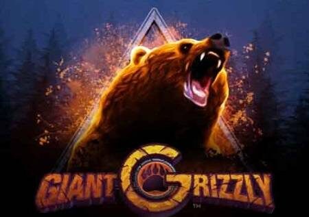 Giant Grizzly – nenda kuwinda kwa ajili ya bonasi kubwa za kasino!