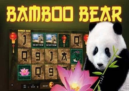 Bamboo Bear – panda wazuri wanaleta ushindi!