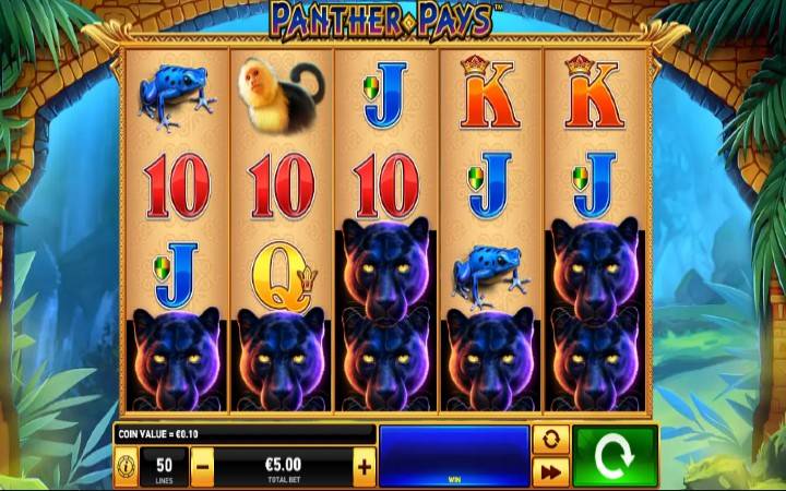 Panther Pays