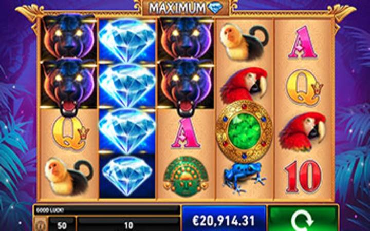Panther Pays