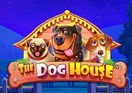 The Dog House – mbwa wanaofanya kazi vizuri sana wanaleta raha inayokumbukwa!