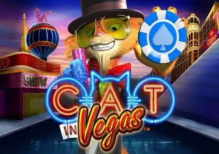 Cat in Vegas – kasino ya mtandaoni ya ndoto zako!