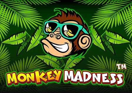 Monkey Madness – sloti rahisi na yenye faida sana!