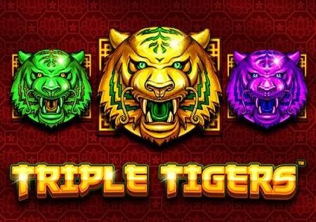 Triple Tigers – jiingize katika ubora wa sloti ya kasino mtandaoni!