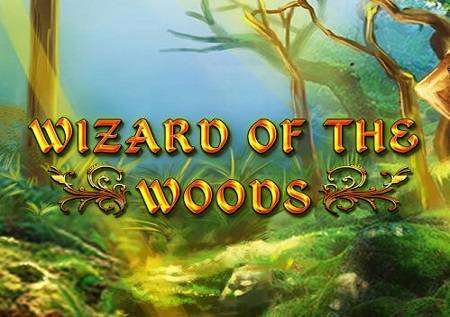 Sloti ya Wizard of the Woods