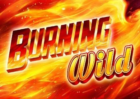Burning Wild – jokeri wanaleta raha ya moto!