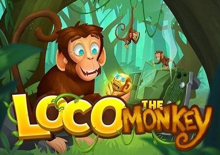 Loco the Monkey inatoa burudani ya kasino mtandaoni!