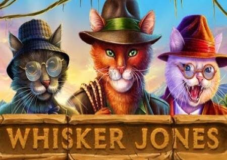 Whisker Jones – mchanganye Jones ukiwa na begi la bonasi