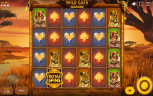 Wild Cats Multiline
