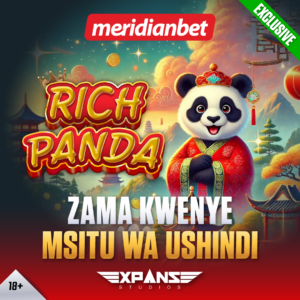 Rich Panda | Rich Panda Slots | Casino slots | Expanse Studios