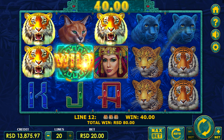 Sloti ya Super Cats | slots | online slots | top slots | sloti mtandaoni | Bonasi za kasino |